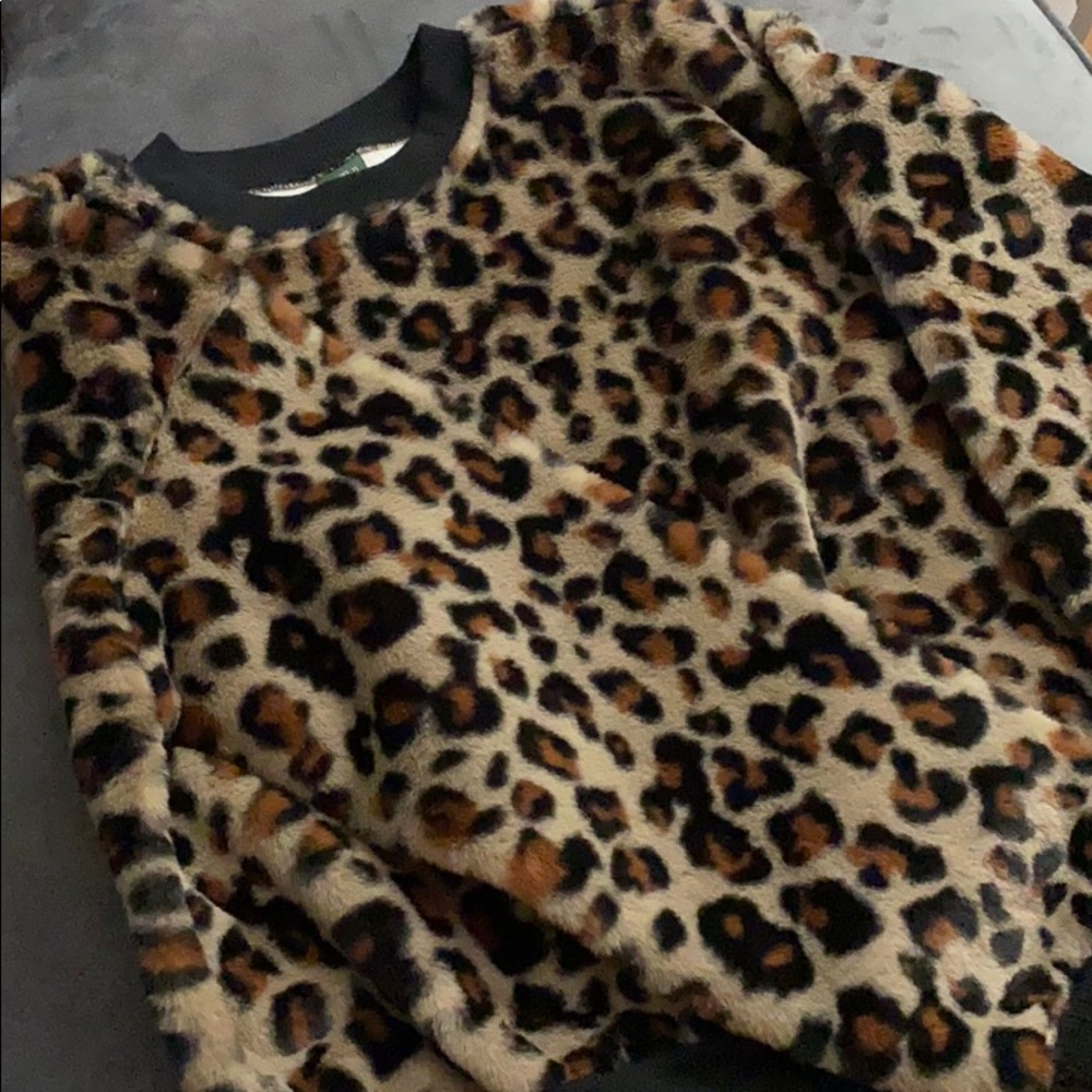 Outerwear - Picture 4 of 4